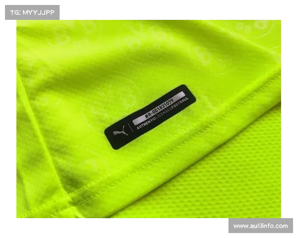 多特蒙德推出二手球衣回收计划，环保行动备受欢迎